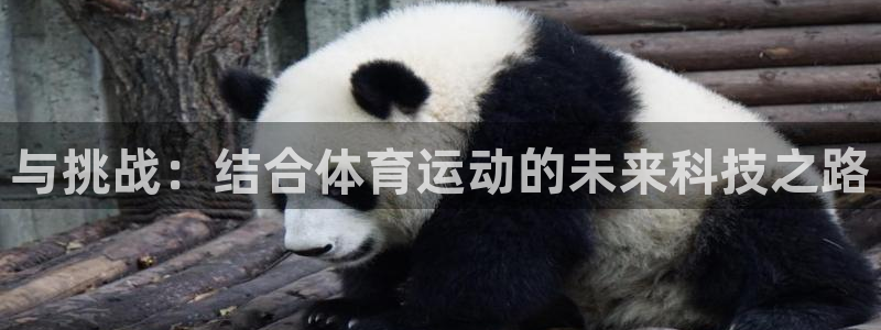 与挑战：结合体育运动的未来科技之路