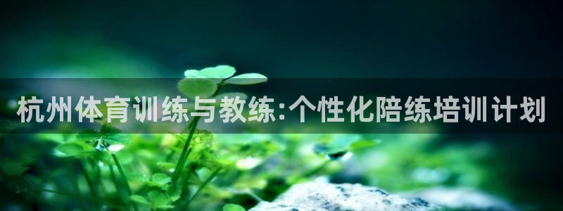杭州体育训练与教练:个性化陪练培训计划