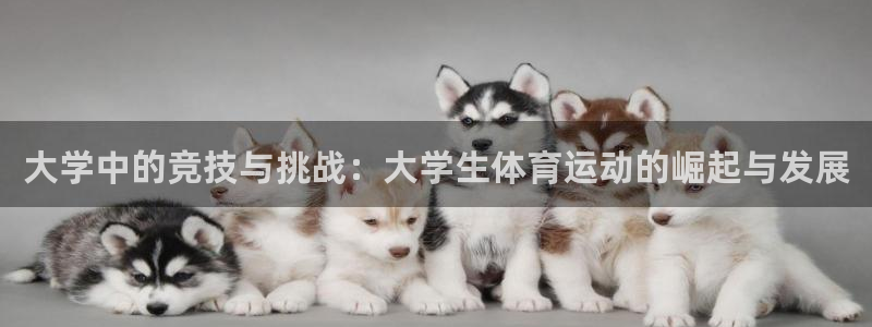 大学中的竞技与挑战：大学生体育运动的崛起与发展