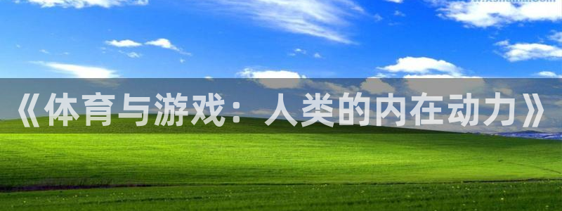 《体育与游戏：人类的内在动力》
