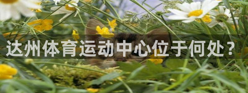 达州体育运动中心位于何处？
