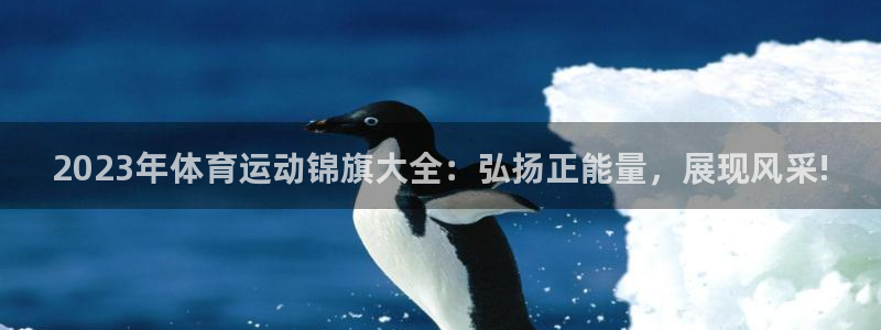 2023年体育运动锦旗大全：弘扬正能量，展现风采!