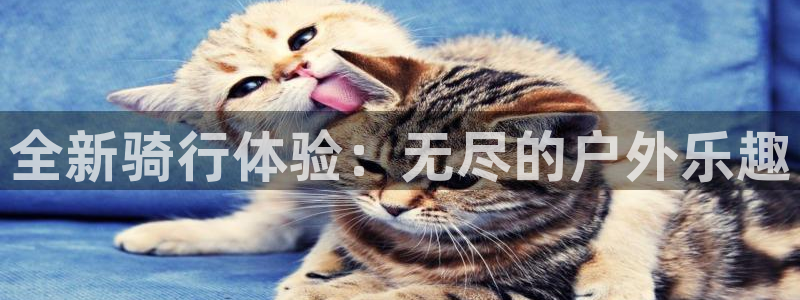 全新骑行体验：无尽的户外乐趣