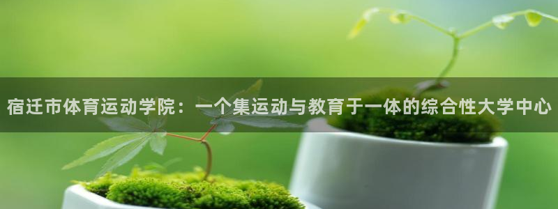 宿迁市体育运动学院：一个集运动与教育于一体的综合性大学中心