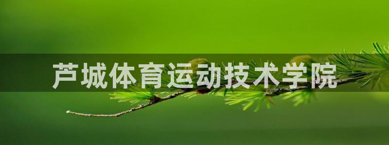 芦城体育运动技术学院