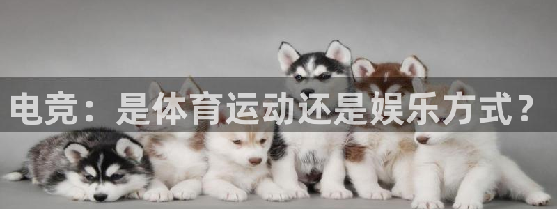 电竞：是体育运动还是娱乐方式？