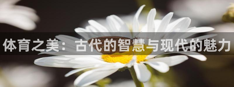 体育之美：古代的智慧与现代的魅力