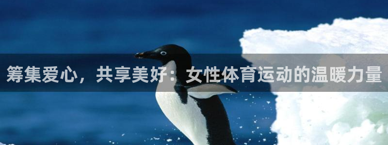 筹集爱心，共享美好：女性体育运动的温暖力量