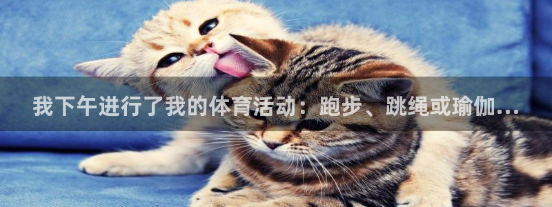 我下午进行了我的体育活动：跑步、跳绳或瑜伽...