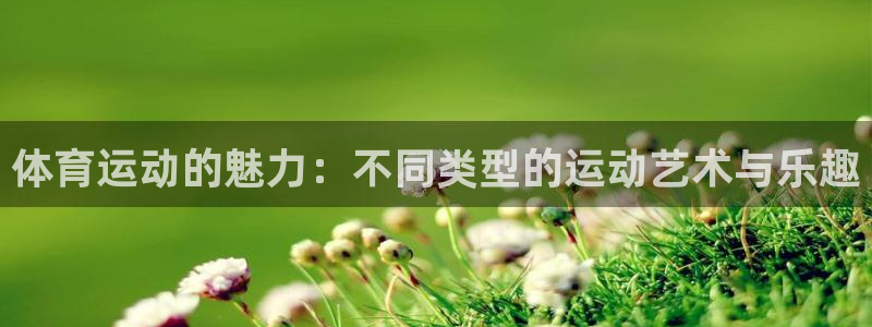 体育运动的魅力：不同类型的运动艺术与乐趣