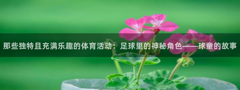 那些独特且充满乐趣的体育活动：足球里的神秘角色——球童的故事
