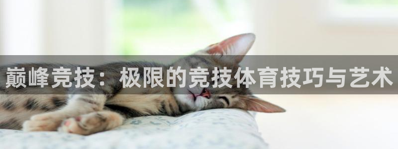 巅峰竞技：极限的竞技体育技巧与艺术