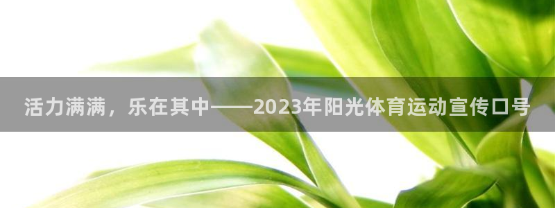 活力满满，乐在其中——2023年阳光体育运动宣传口号