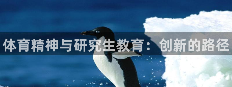 体育精神与研究生教育：创新的路径