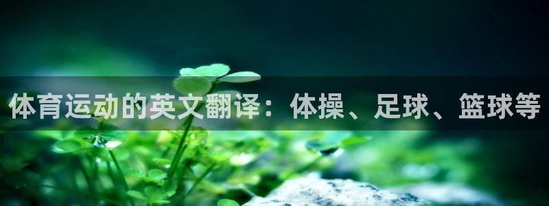 体育运动的英文翻译：体操、足球、篮球等
