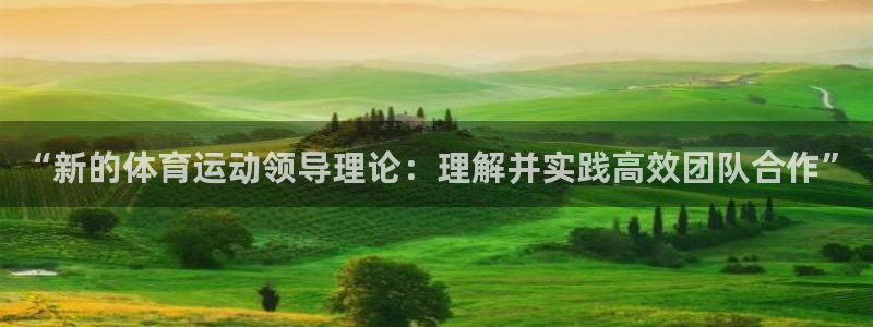 “新的体育运动领导理论：理解并实践高效团队合作”