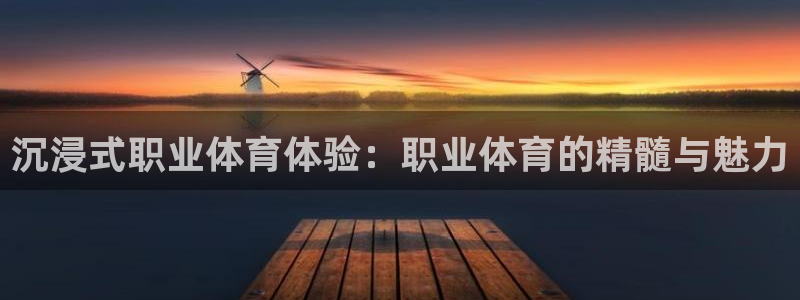 沉浸式职业体育体验：职业体育的精髓与魅力