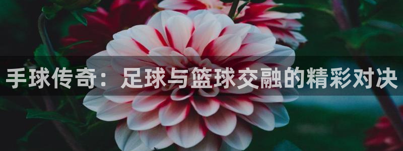 手球传奇：足球与篮球交融的精彩对决