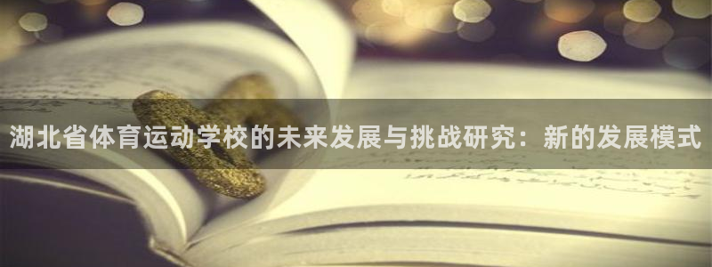 湖北省体育运动学校的未来发展与挑战研究：新的发展模式