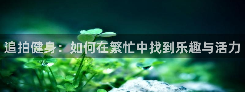 追拍健身：如何在繁忙中找到乐趣与活力