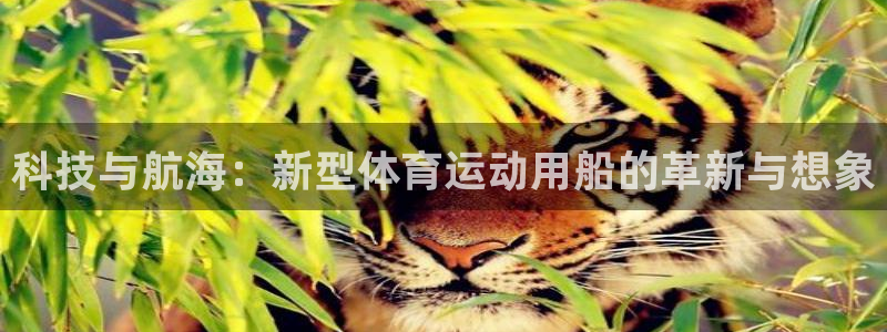 科技与航海：新型体育运动用船的革新与想象