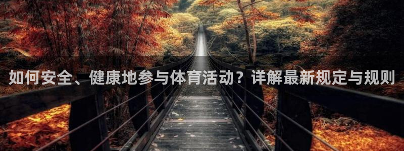 如何安全、健康地参与体育活动？详解最新规定与规则