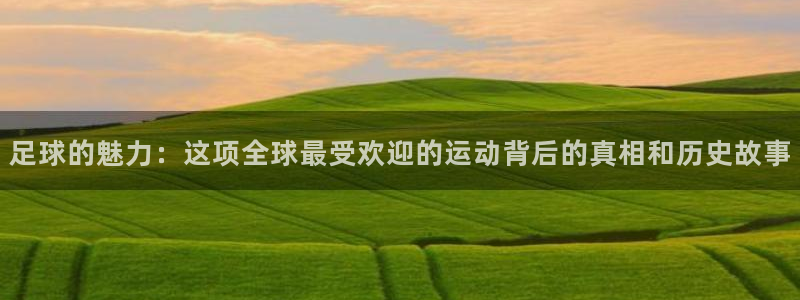 足球的魅力：这项全球最受欢迎的运动背后的真相和历史故事