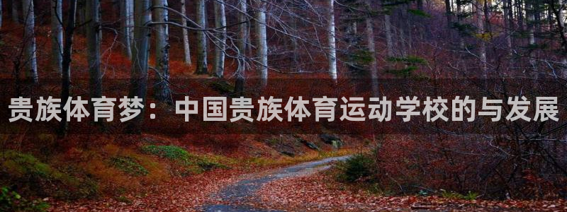 贵族体育梦：中国贵族体育运动学校的与发展
