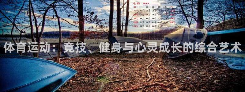 体育运动：竞技、健身与心灵成长的综合艺术