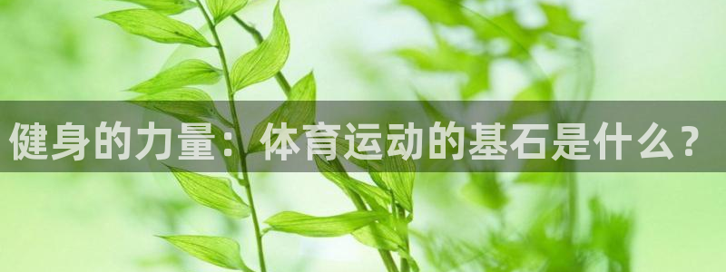 健身的力量：体育运动的基石是什么？