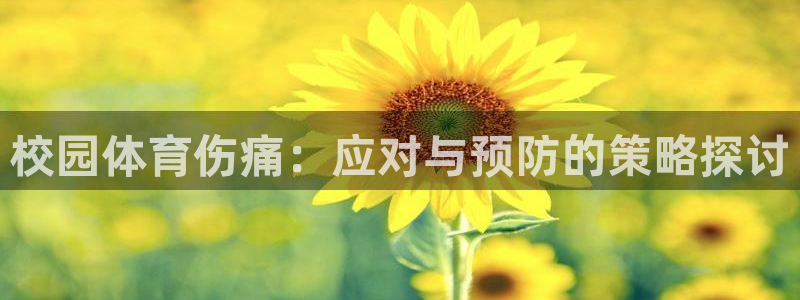 校园体育伤痛：应对与预防的策略探讨