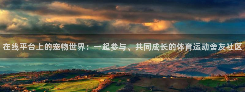 在线平台上的宠物世界：一起参与、共同成长的体育运动舍友社区