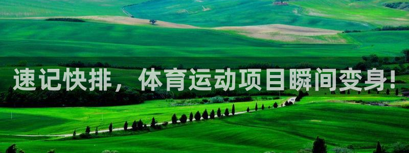 速记快排，体育运动项目瞬间变身!
