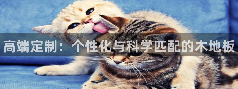 高端定制：个性化与科学匹配的木地板