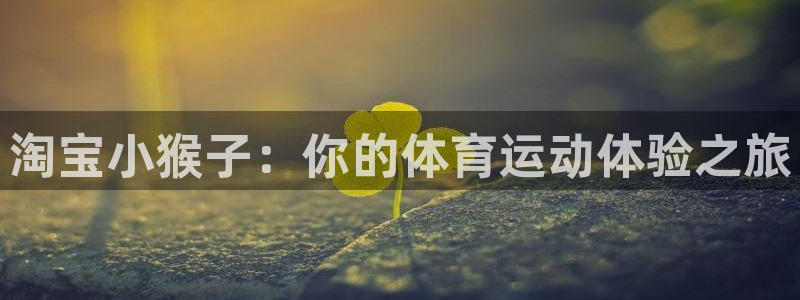 淘宝小猴子：你的体育运动体验之旅
